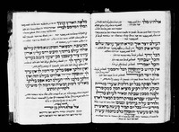 עלי נהר (קטעים).