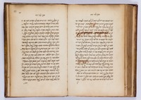 אלדד הדני.