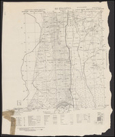 Es Salihiya West / Survey of Palestine.