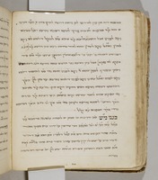 חדושים על מסכת חולין.