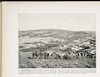 Camels Feeding at Nazareth--On the hills over which Christ walked