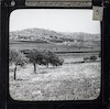 Shepherd's Field and Bethlehem