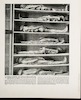 Mummies of Priests--The bodies of priests embalmed before Aaron and his sons were appointed to the priesthood in Israel