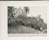 Tower of Castle--Near where the transfiguration took place – הספרייה הלאומית