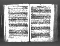 תורה (ויקרא-דברים).