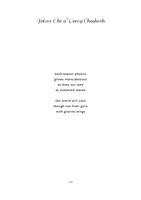 Yotzer ohr u'vorey choshech : poems 2015 / by Yaakov Ben David.
