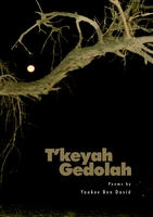 T'keyah gedolah : poems 2013 / Yaakov Ben David.