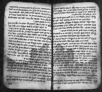 חדושים על שלחן ערוך יורה דעה.