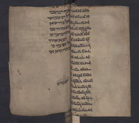 תלמוד בבלי סדר נזיקין (בבא קמא מ-מב; סז-סח).