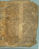 תלמוד בבלי סדר מועד (פסחים סג ע"ב-סד ע"ב, פז ע"א-פח ע"א).