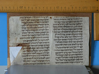 תלמוד בבלי סדר זרעים (ברכות ט ע"ב-י ע"א, יט ע"ב-כ ע"ב).