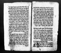 תורה – הספרייה הלאומית