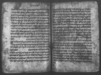נביאים ראשונים.