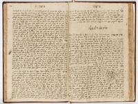 חדושים (ביצה).