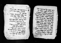 פיוטים : בעברית ובערבית.