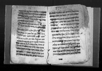 זבחי שלמים (קטע).