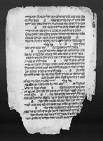 תכלאל והפטרות.