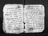 הלכות שחיטה (קטעים).
