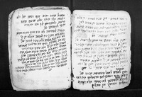 הלכות שחיטה.