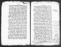 פרוש התורה לראב"ע.