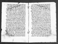 פרוש על פרוש התורה לראב"ע (קטעים).