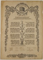 הראית שב נכבד יקר רוח.