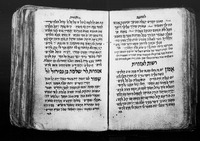 תכלאל.