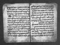 שרח אלקואעד.