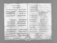 פורים פיטיליאנו.