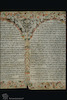 Cols. 9-10. Photograph of: Nathan Esther Scroll