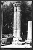 heart-shaped column. Photograph of: Baram Synagogue