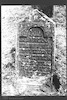 Tombstone. Photograph of: Jewish cemetery in Tovste (Tłuste)