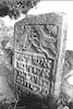 Tombstone. Photograph of: Jewish cemetery in Tovste (Tłuste)