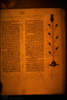 p. 200. Photograph of: Farhi Bible – הספרייה הלאומית