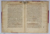 פרוש כתובים לאלישע גליקו (רות, קטע).
