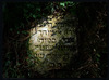 Photograph of: Jewish cemetery in Rakov.