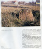 Photograph of: Jewish cemetery in Cherven' (Igumen).