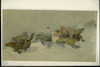 Oil on canvas. Photograph of: Pann (Pfeffermann), Cossacks Riding