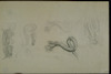 Pencil and chalk on paper. Photograph of: Pann (Pfeffermann), The Snake