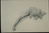 Pencil and chalk on paper. Photograph of: Pann (Pfeffermann), The Snake - The Last Page