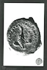 Reverse Prutah. Photograph of: Coins of Herod the Great