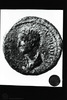 Obverse. Photograph of: Coins of Agrippa II