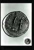 Reverse. Photograph of: Judea Capta coins – הספרייה הלאומית