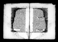 מכלל יופי.