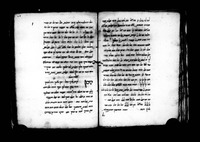 שארית יוסף.