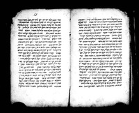 תולדת : דיאלוג בין דינה ואביה בעיני גניקולוגיה.