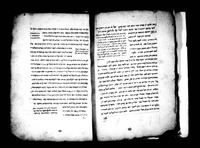 מאמר על מדרגות הנבואה.