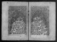 החידות וההשגחות.