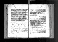 גפן פוריה.