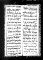 אגרון.